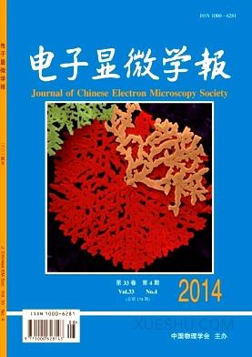 电子显微学报
